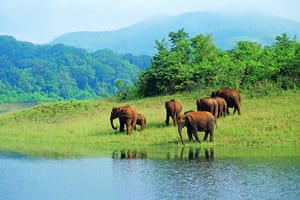 Exciting Kerala Tour Package 3 days