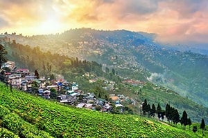 Darjeeling Gangtok Tour 6 Days