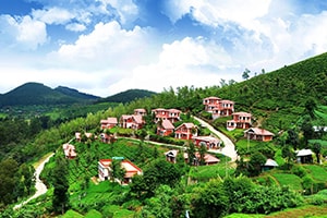 Discover Ooty Holiday Tour