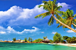 Goa Package Tour Package 3 Nights 4 Days
