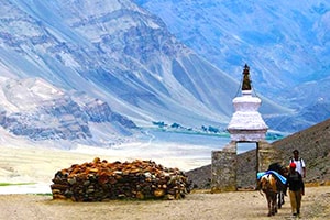 Ladakh tour 5 days