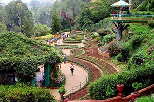 ooty summer tour